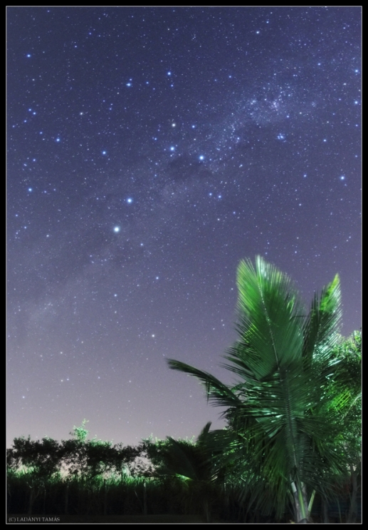 Southern Cross Shines Above Palms in Skywatcher Photo